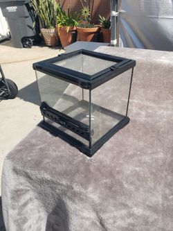 Reptile Terrarium 