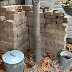 Spanish Moss Pavers 4x8