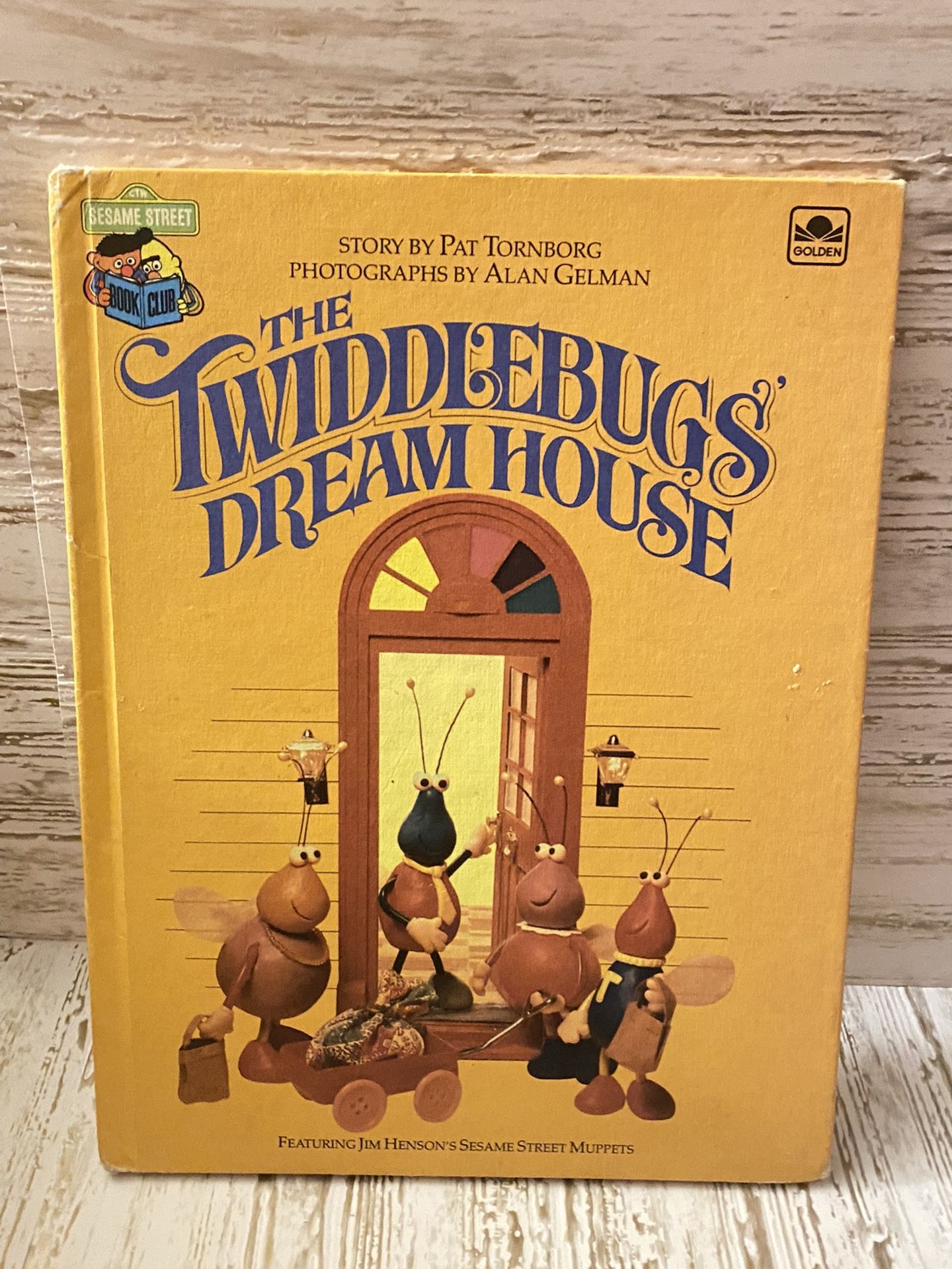 The twiddlebugs Dream House book