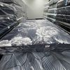 Mattress Guy