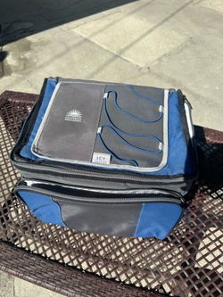 California Innovations Insulated Cooler Bag