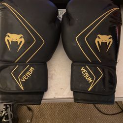 Boxing Gloves Venum
