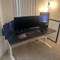 Ikea desk (no Monitors, Monitor mount, Keyboard Or Mouse)