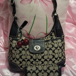 Coach Bag And Wallet Set