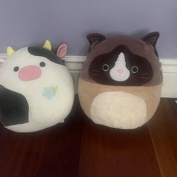 2 Squishmallow Toys