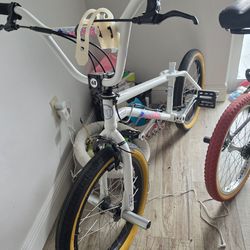 2021 GT Pro Performer. In white .all Stock