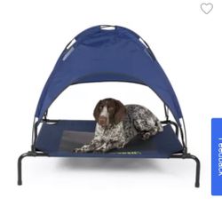 Brand New 🔥 Elevated Dog Bed w/ Canopy