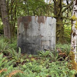 Free, Old Steel Water Tank For The Metal