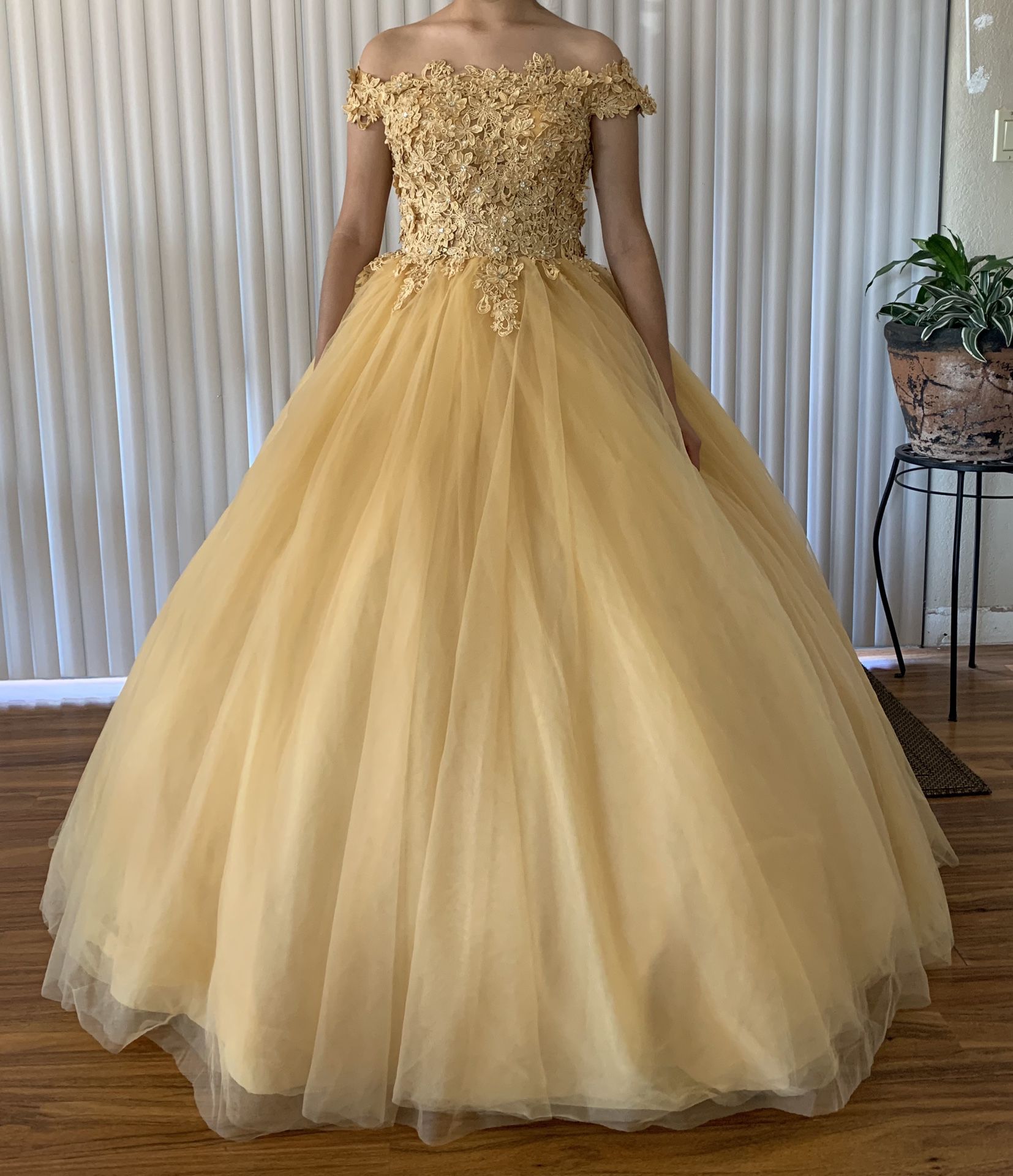 New Quinceñera/ Formal Gown