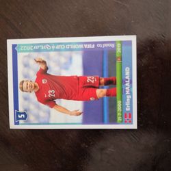 Erling HAALAND