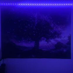 Wall Backdrop Purple 