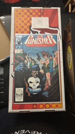 The Punisher 12