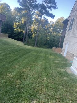 Need Your Grass Cut Hmu 