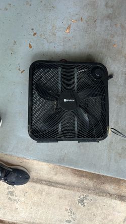 Fan