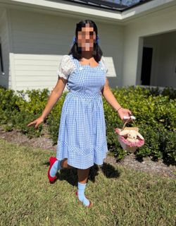 Dorothy  Spirit Halloween Custom