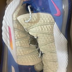 LeBrons 10.5