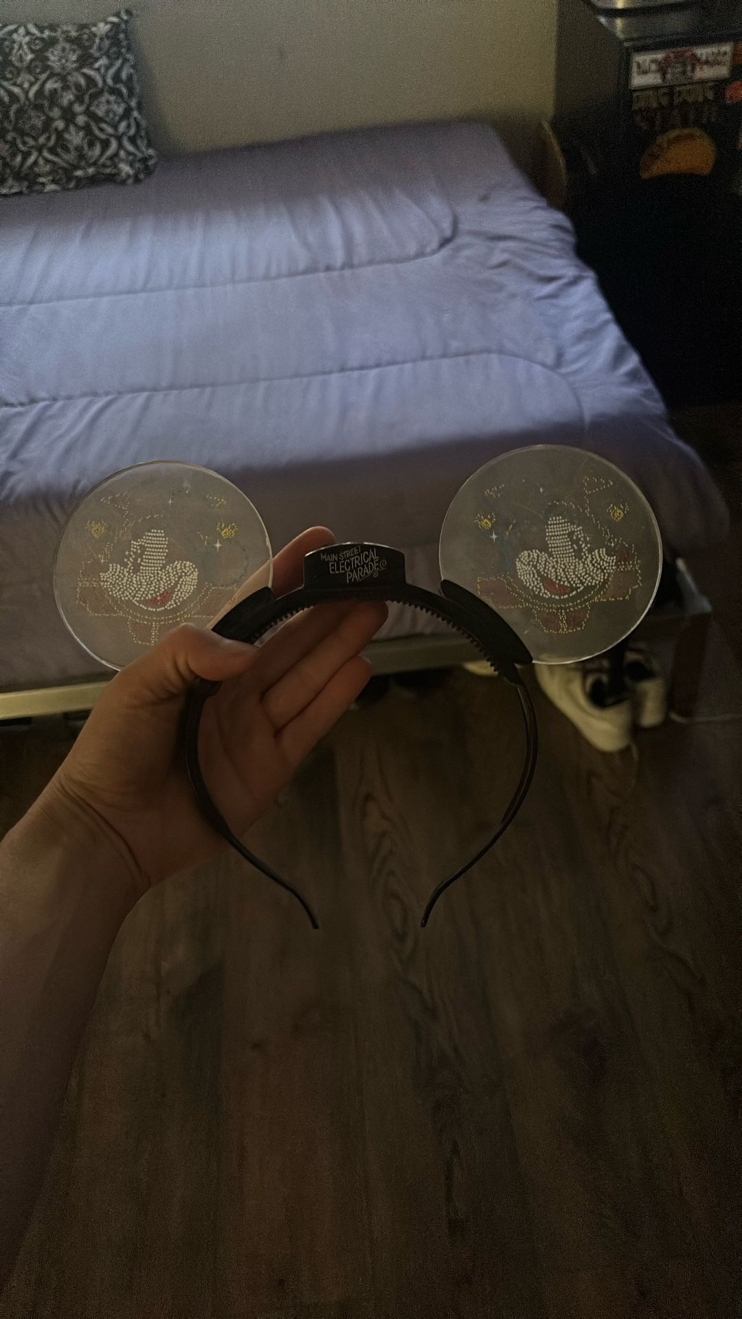 Light Up Mickey Ears