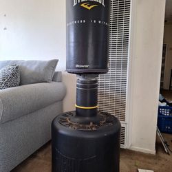 Punching Bag 