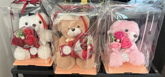 Graduation Gift Regalia De Graduacion 