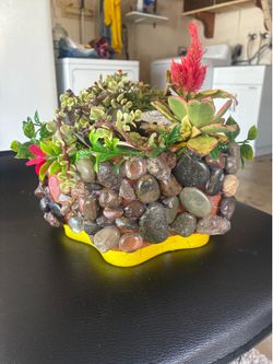 For your garden