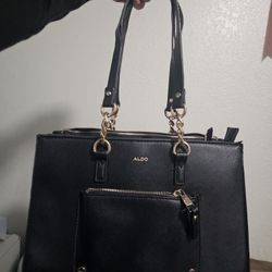 Aldo Hand Bag
