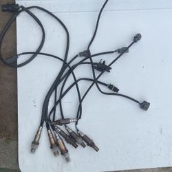 Oxygen Sensor