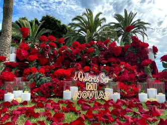 Red roses, beach view proposal Engagement Wedding