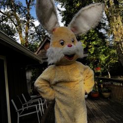 Vintage Commercial Style Easter Bunny Costume