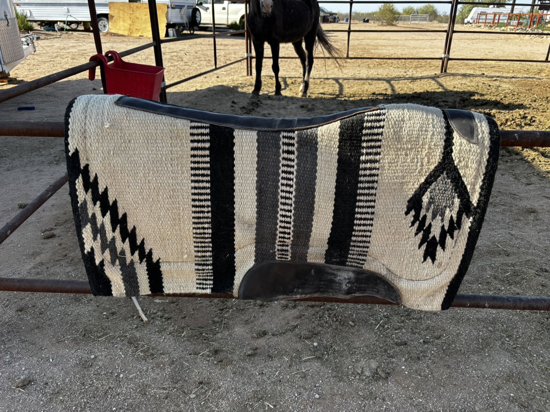Horse Saddle Pad Pretty Lightly Used