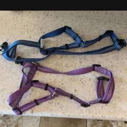 Free Dog Harness X 2