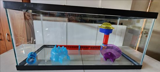 Fish Tank for Hamster