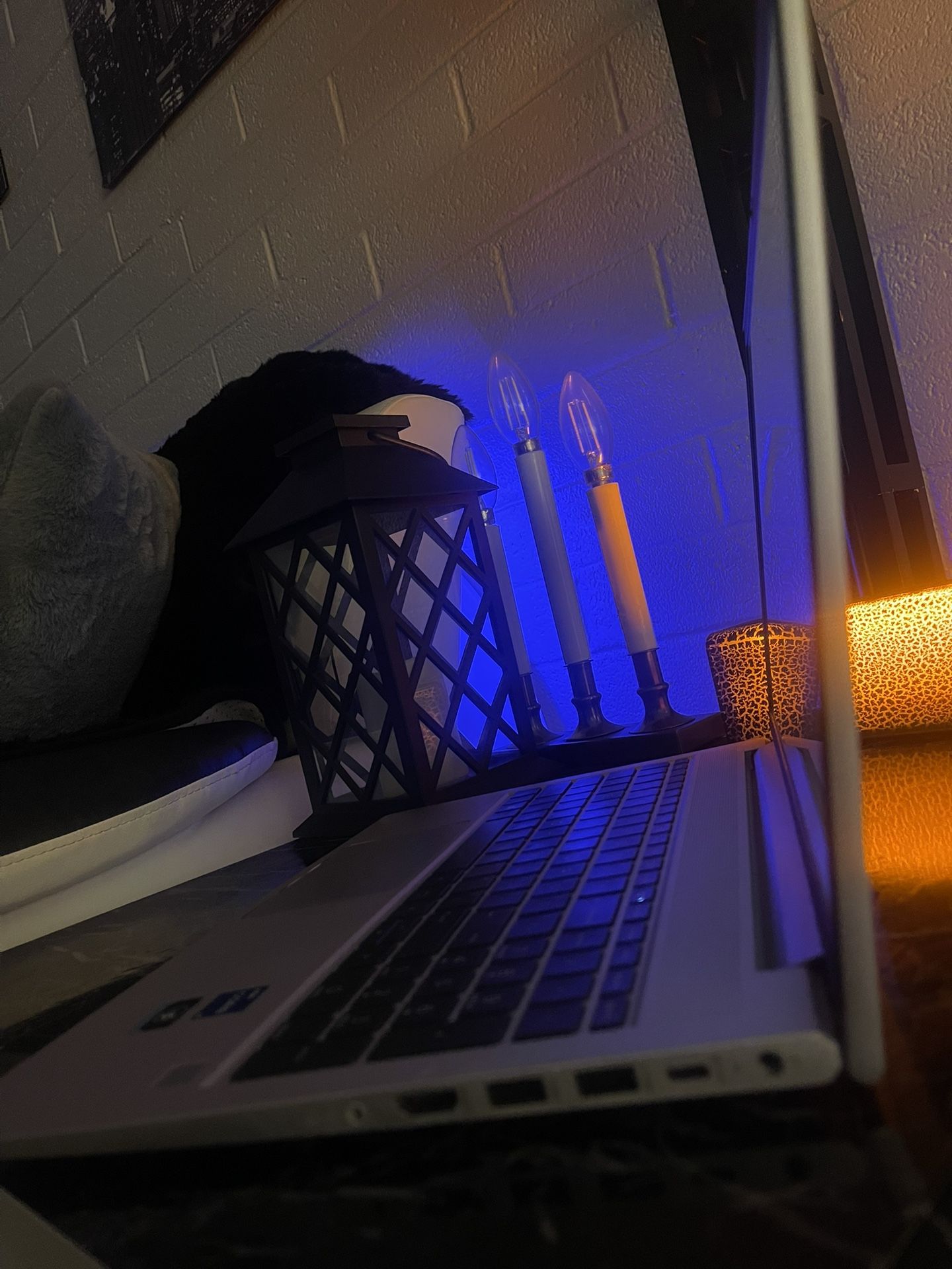 HP Probook - Windows 11