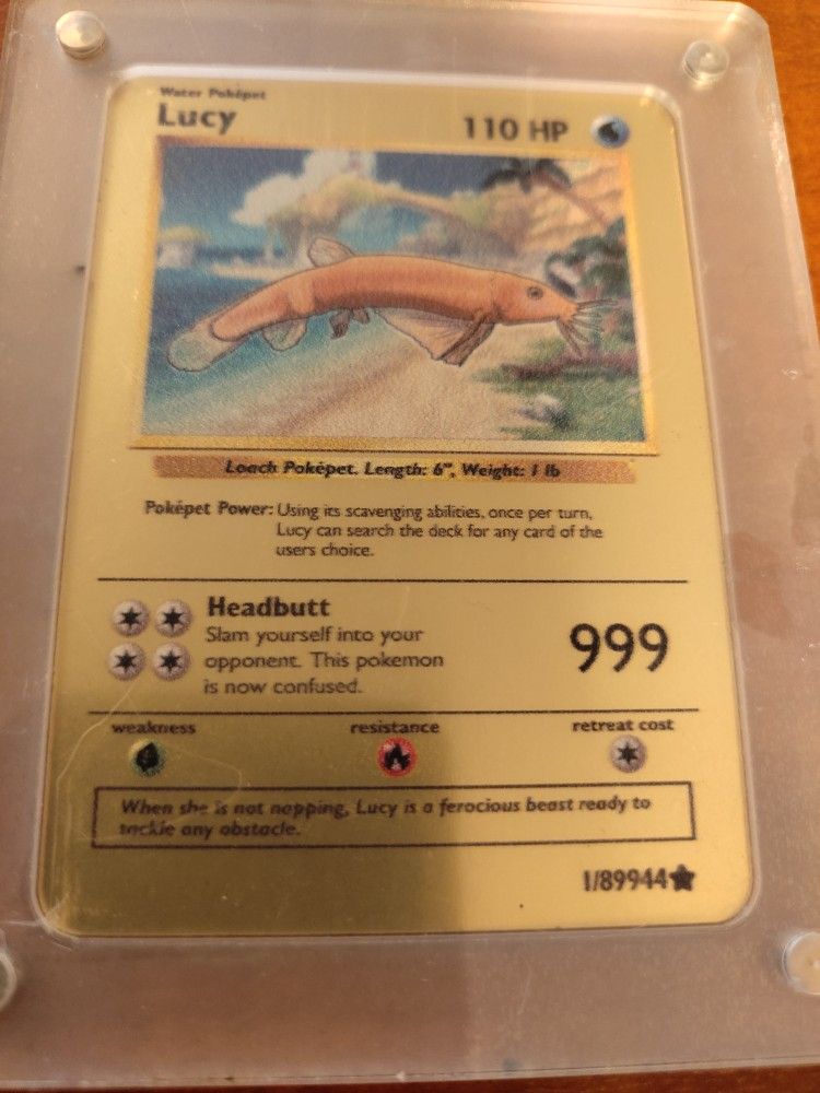 Pokemon Card In Protective Case Poke Pet Shop Lucy 110 HP Card