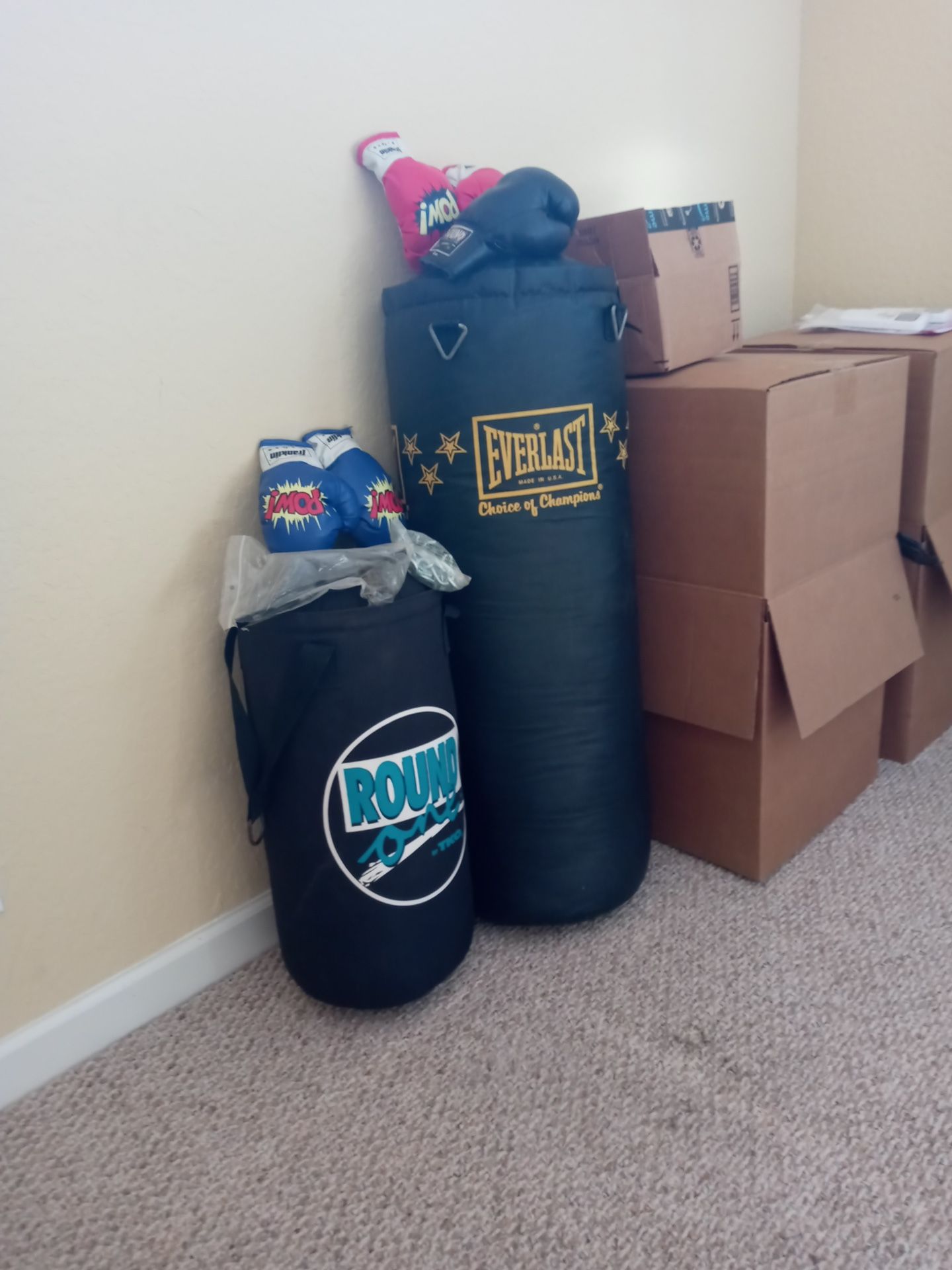 Adult Punching Bags