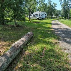 Five Acre Lot For Sale Old Lloyd Rd Monticello