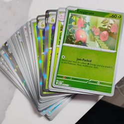 Pokemon Card Collections