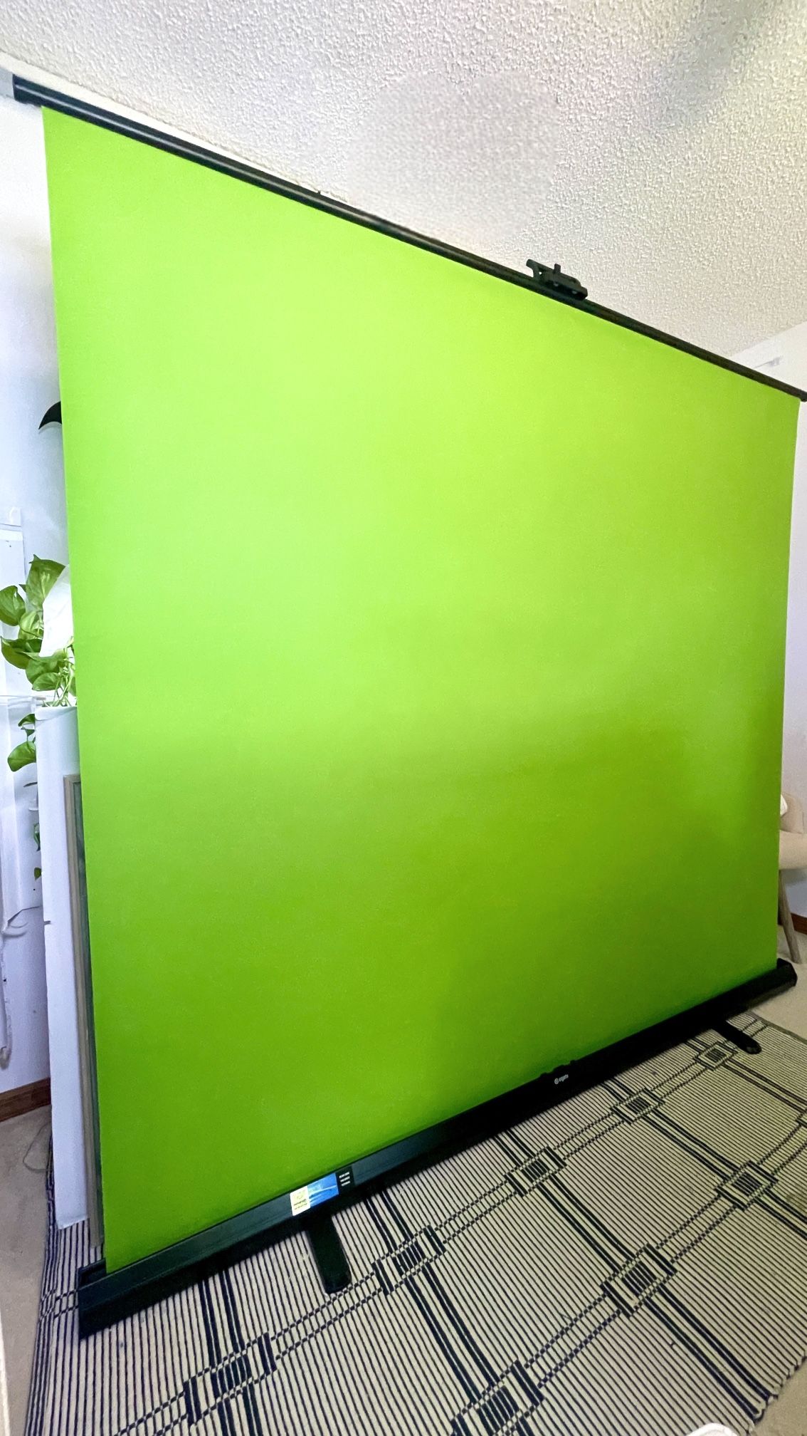 Elgato Retractable Green Screen XL (Chroma Green, 6 x 6.5')