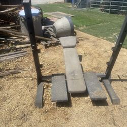 Free Bench Press