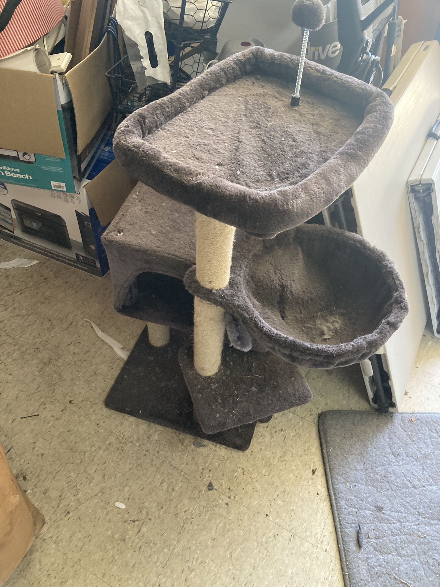 Cat House