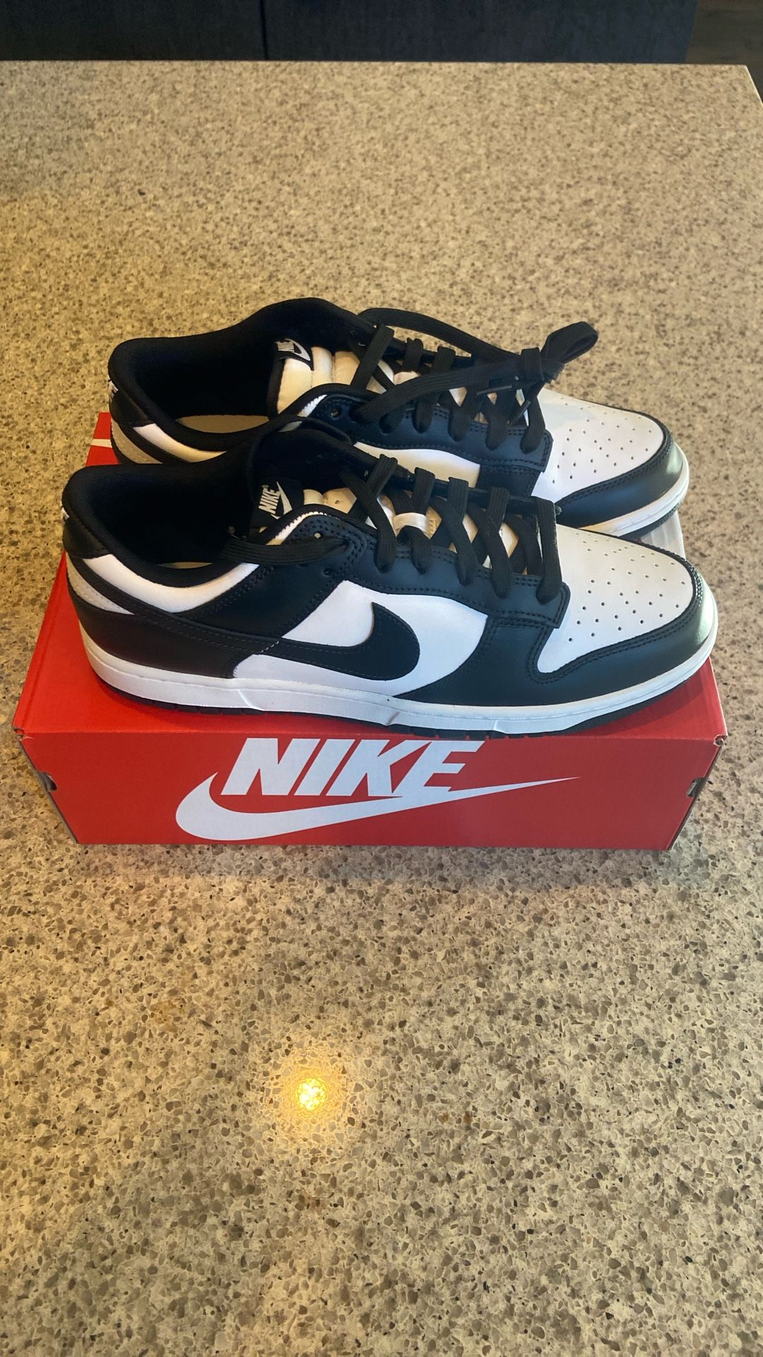 Nike Panda Dunk Retro Low Top
