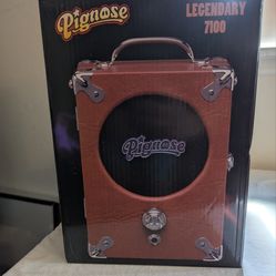 Pignose 7-100 amp