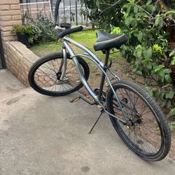 Beach Cruiser Stolen 