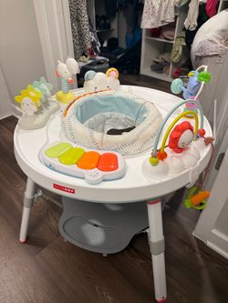Skip hop activity center
