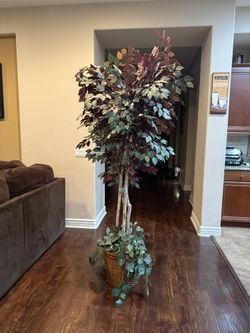 Tree 8ft