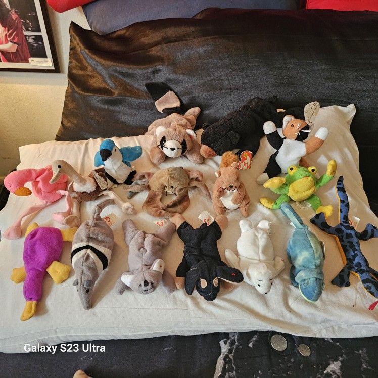Beanie Baby Collection