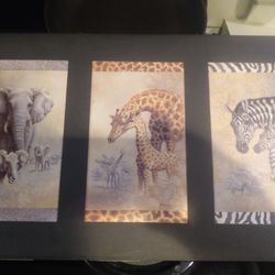Animal Print On Cardboard
