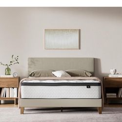 New King Mattress $100