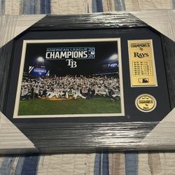 Tampa Bay Rays Plaque 