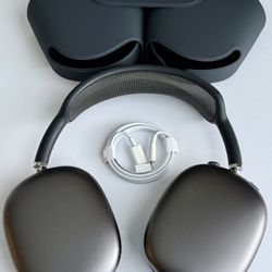 Apple AirPods Max - Gray Lightning Edition