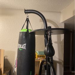 Everlast Punching Bag And Speed Bag 